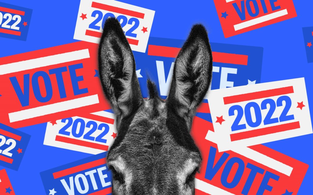 How Mainstream Media Underestimated Democrats in the Midterms