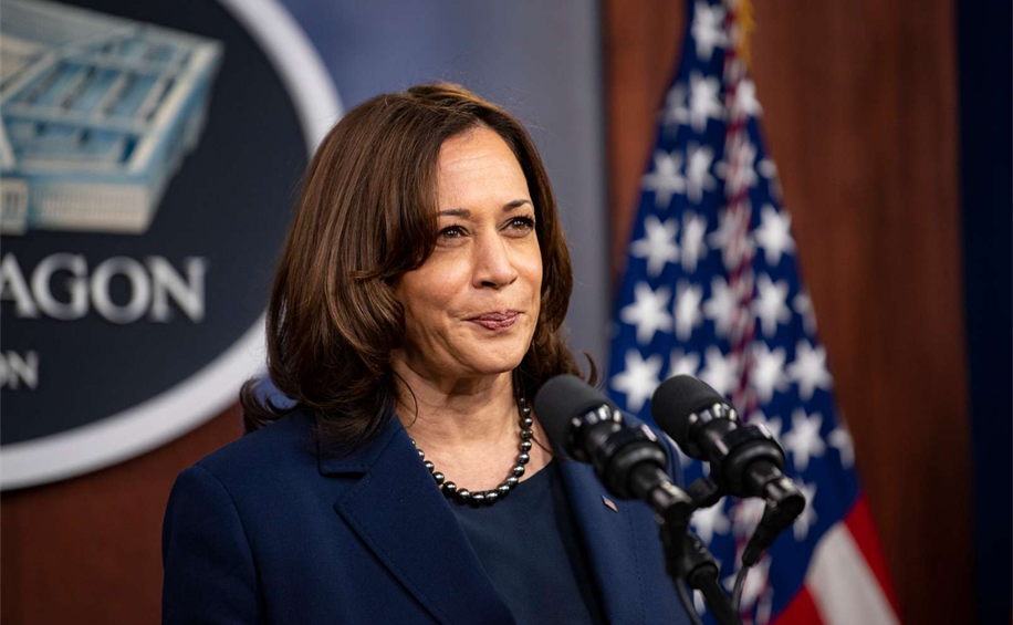 The Price of Comfort: How Corporate Media Left Democrats Blindsided in 2024 (Again)